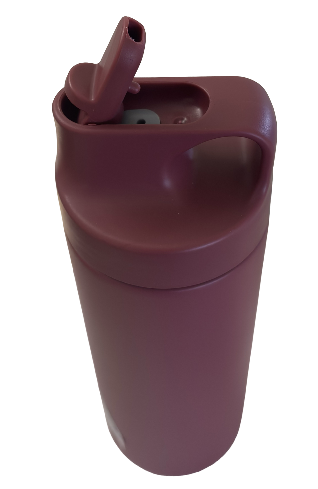 Vacuum Insulated Stainless Steel Straw Tumbler