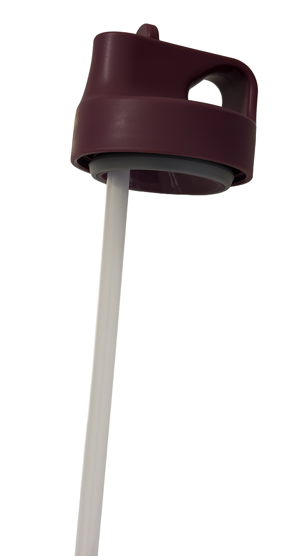 Vacuum Insulated Stainless Steel Straw Tumbler