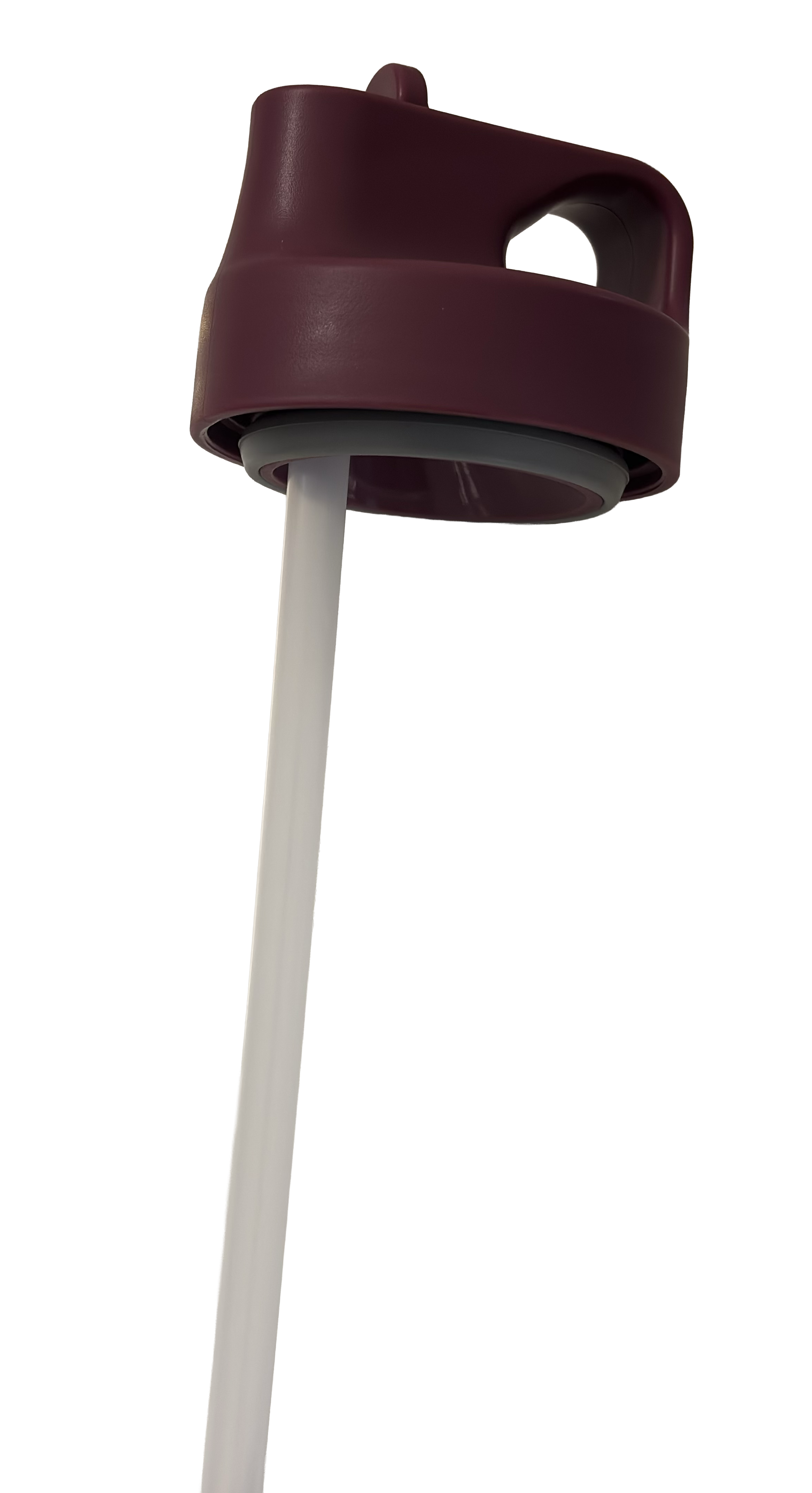 Vacuum Insulated Stainless Steel Straw Tumbler