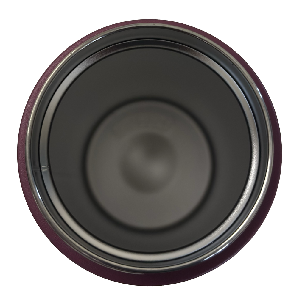 Vacuum Insulated Stainless Steel Straw Tumbler